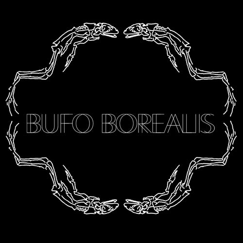Bufo Borealis