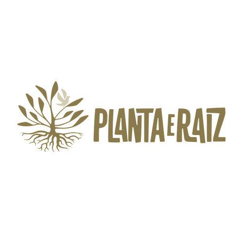 Planta e Raiz