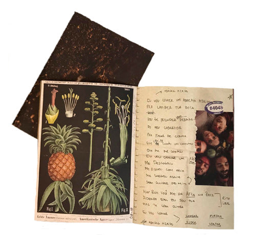 Abacaxepa - Álbum - Caroço