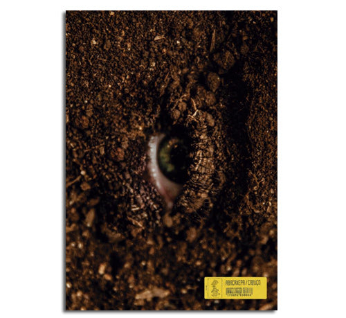 Abacaxepa - Poster A3 - Caroço 2