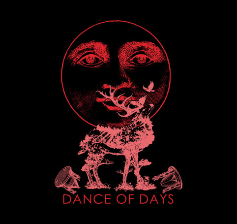 Dance Of Days (Camiseta) - Ferris 451