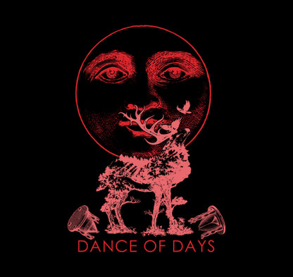 Dance Of Days (Camiseta) - Ferris 451