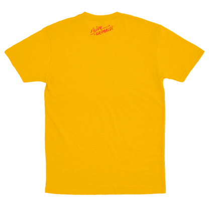 Filipe Grimaldi (Camiseta Amarela) - Brasil
