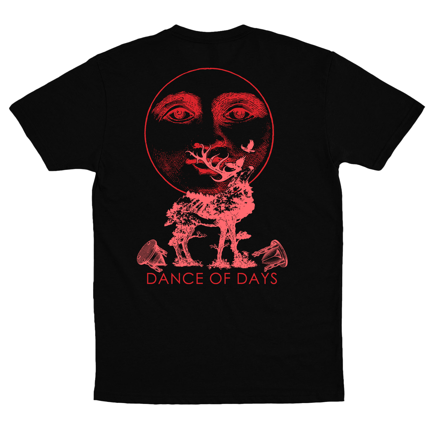 Dance Of Days (Camiseta) - Ferris 451
