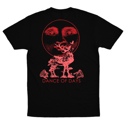 Dance Of Days (Camiseta) - Ferris 451
