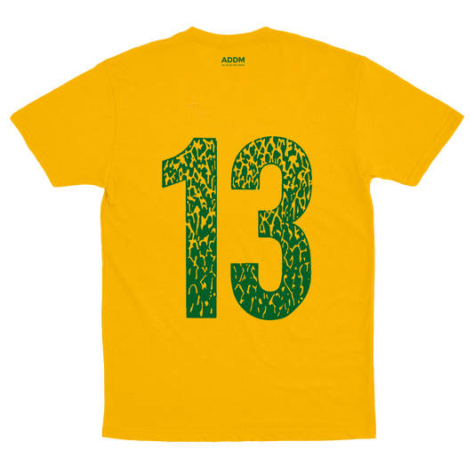 ADDM (Camiseta Amarela) - Estrelas